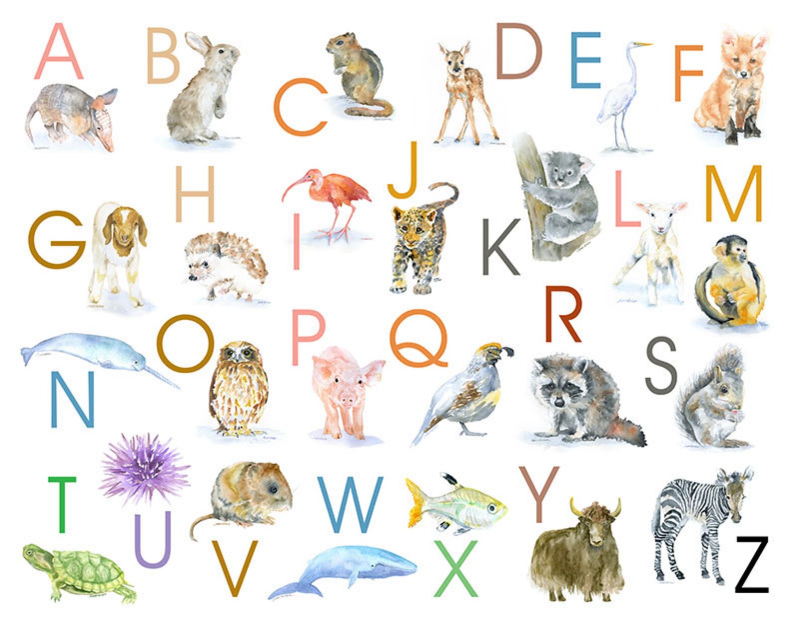 Животные по алфавиту с картинками