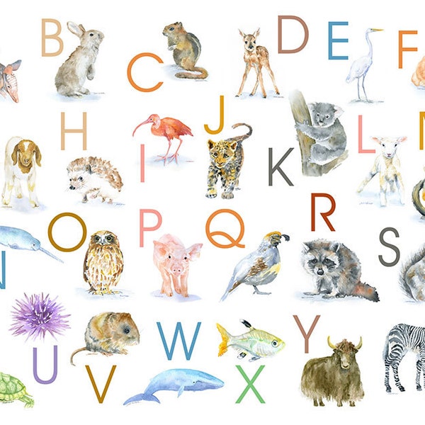 Alphabet Animals Watercolor Poster - 10 x 8 - Nursery Art - ABC wall art - 11 x 8.5 Animals Print UNFRAMED