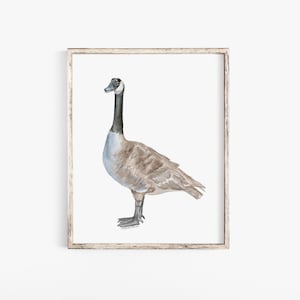 Canadian Goose Watercolor Painting Giclee Print Art Nursery Print Geese Unframed
