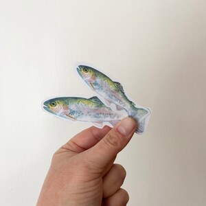 Rainbow Trout Watercolor Vinyl Sticker - For Water Bottles and Laptops