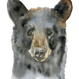 Black Bear Watercolor Painting Giclee Print Fine Art Print Unframed image 2