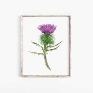 Thistle Watercolor Painting Giclee Print Fine Art Print UNFRAMED