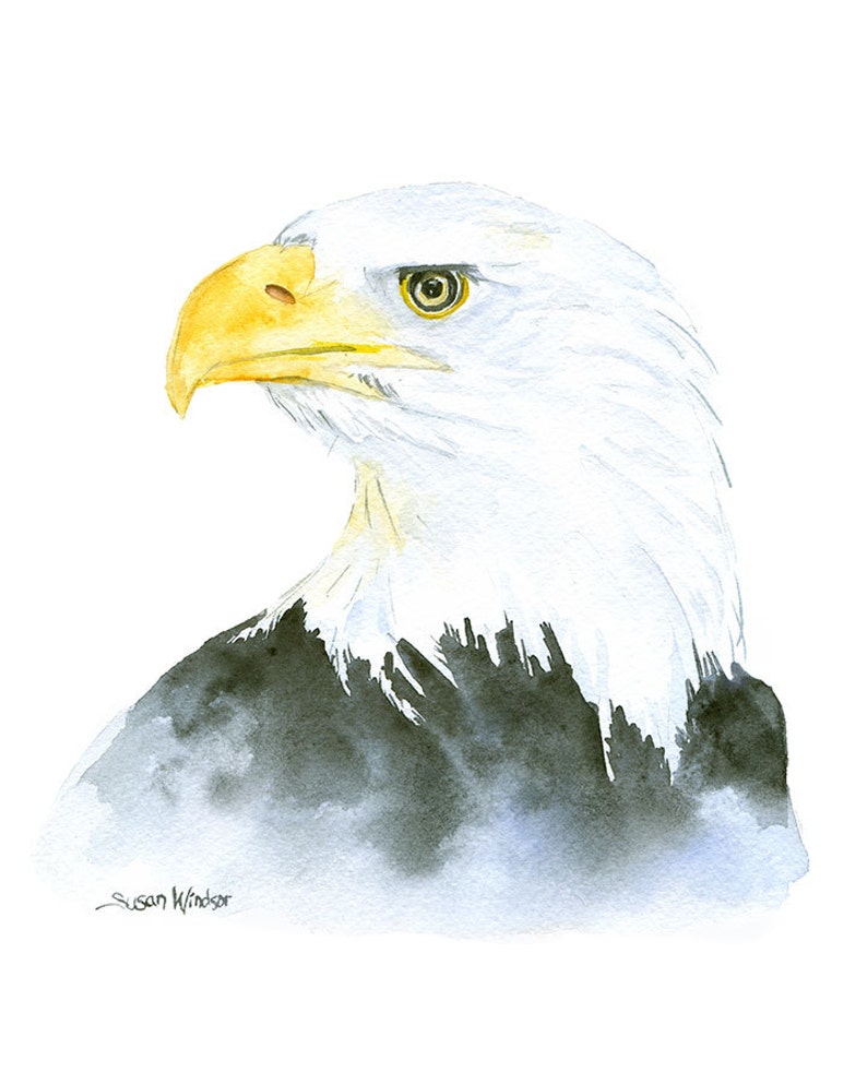 Eagle Watercolor Painting 8 x 10 Giclee Print Reproduction Bald Eagle 8.5x11 UNFRAMED image 2