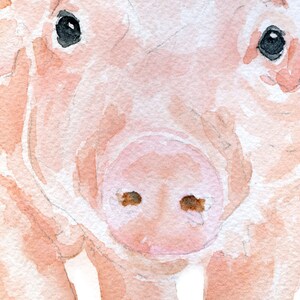 Pig Watercolor Painting Giclee Print Fine Art Piglet Nursery Art Farm Animal Art UNFRAMED image 3