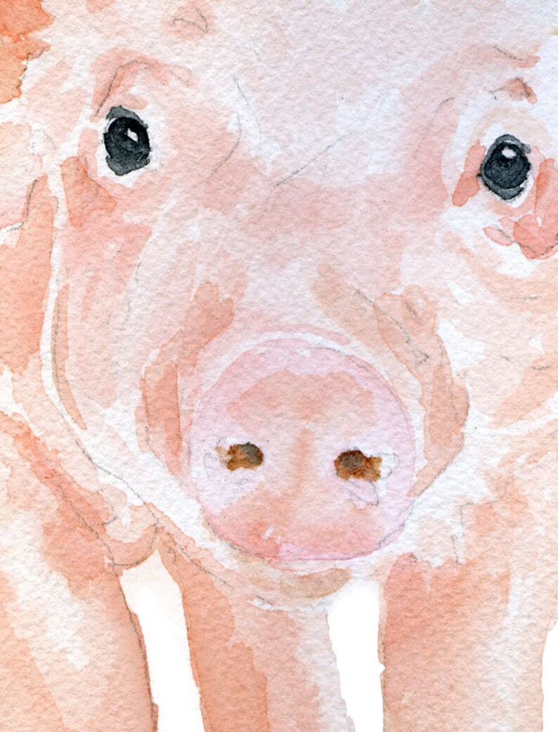 Pig Watercolor Painting Giclee Print Fine Art Piglet Nursery Art Farm Animal Art UNFRAMED image 3