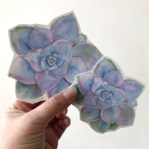 Blue Succulent Vinyl Sticker - For Water Bottles and Laptops