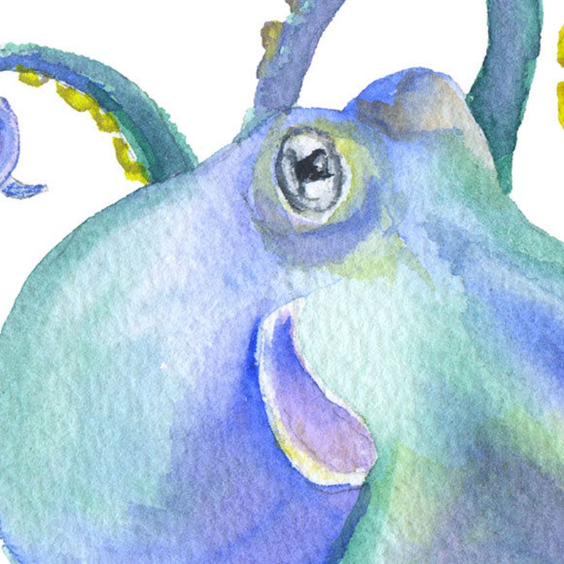 Octopus Watercolor Painting 10 x 8 / 11 x 8.5 Purple Sea Life Ocean Creature Watercolor UNFRAMED image 3