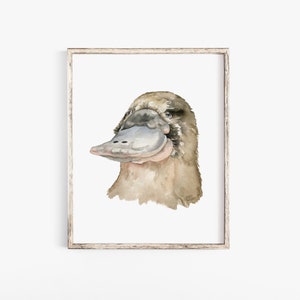 Platypus Watercolor Painting Giclee Print Reproduction - Australian Animal Artwork UNFRAMED