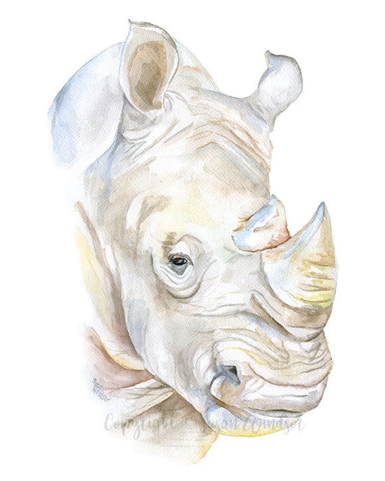 Peinture aquarelle rhinocéros grande affiche imprimée Giclée sans cadre image 2