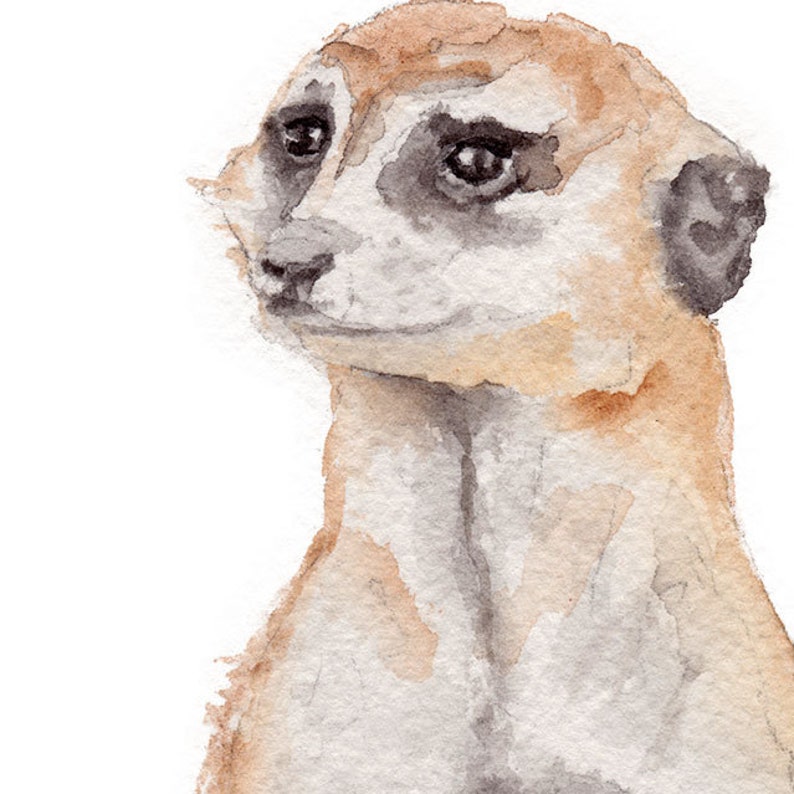 Meerkat Watercolor Painting Giclee Fine Art Print UNFRAMED image 3