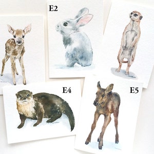 Watercolor Animal Cards Mix and Match Set of 8 image 5