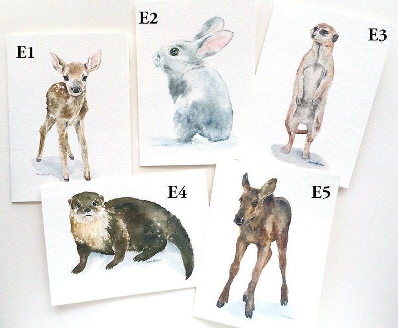 Watercolor Animal Cards Mix and Match Set of 8 image 5