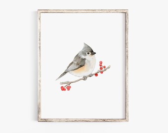 Pintura de acuarela de carbonero copetudo - Impresión giclée - Impresión de bellas artes Pintura de aves SIN MARCO
