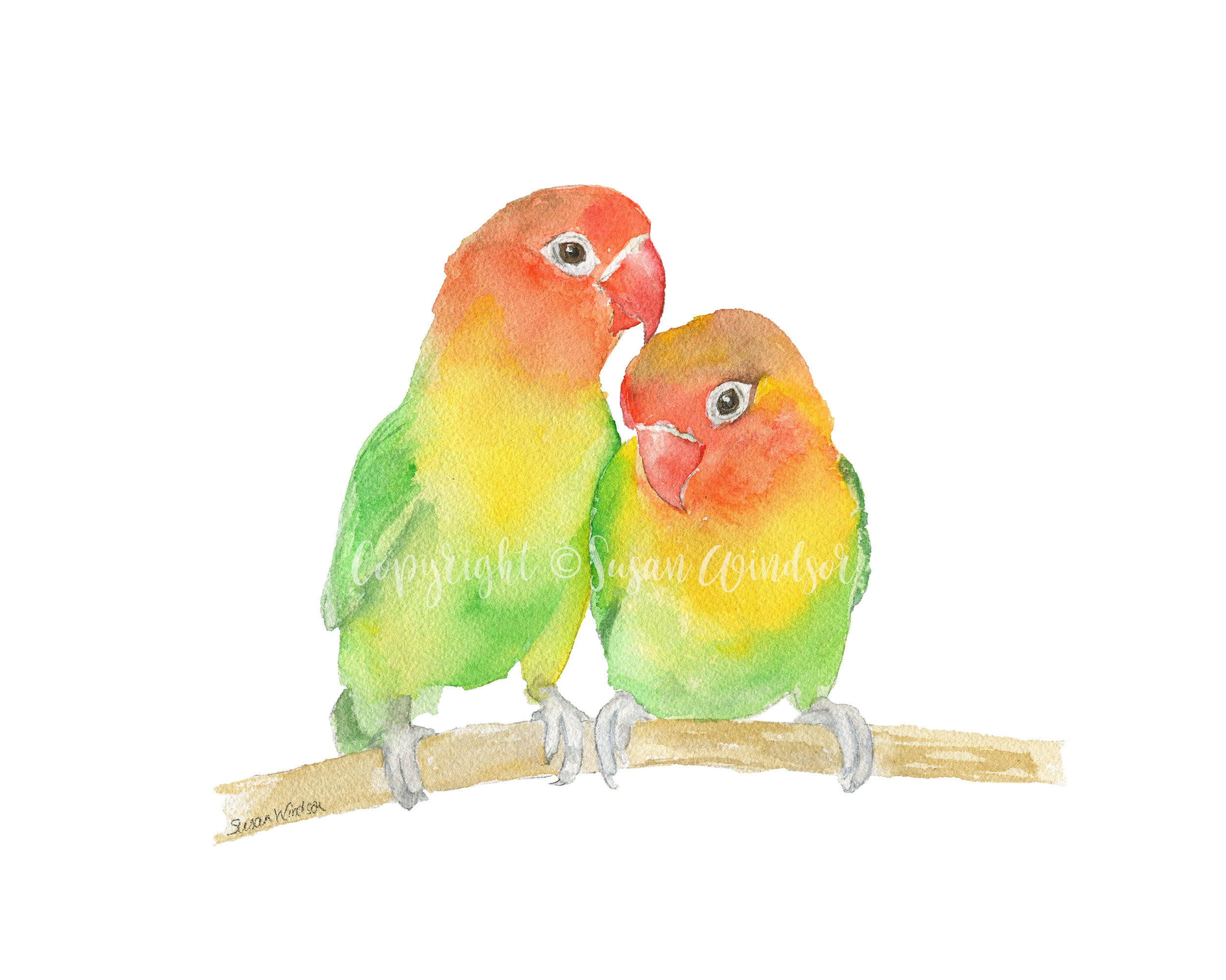 Lovebird Watercolor Art Print UNFRAMED - Etsy