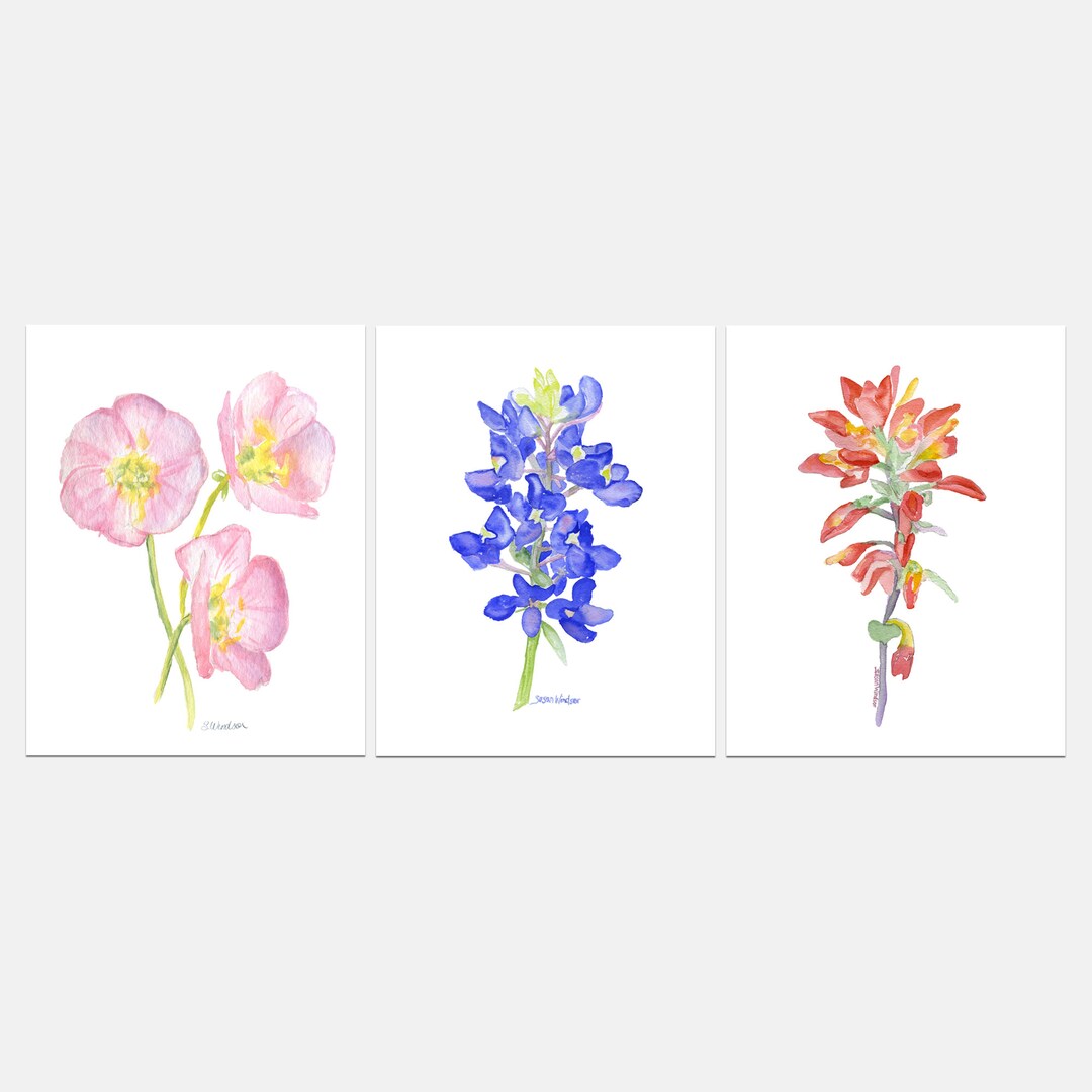 Texas Wildflower Art Print Set of 3 Watercolor Large Poster Prints ...