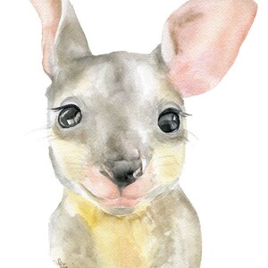 Kangaroo Watercolor Painting Fine Art Giclee Reproduction Australian Animal Joey UNFRAMED image 2