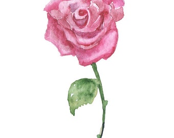 Pink Rose Watercolor Painting Giclee Print Floral - Red Rose Fine Art UNFRAMED