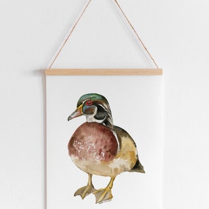 Wood Duck Watercolor Painting Giclee Print Reproduction Woodland Nursery Decor Unframed image 4