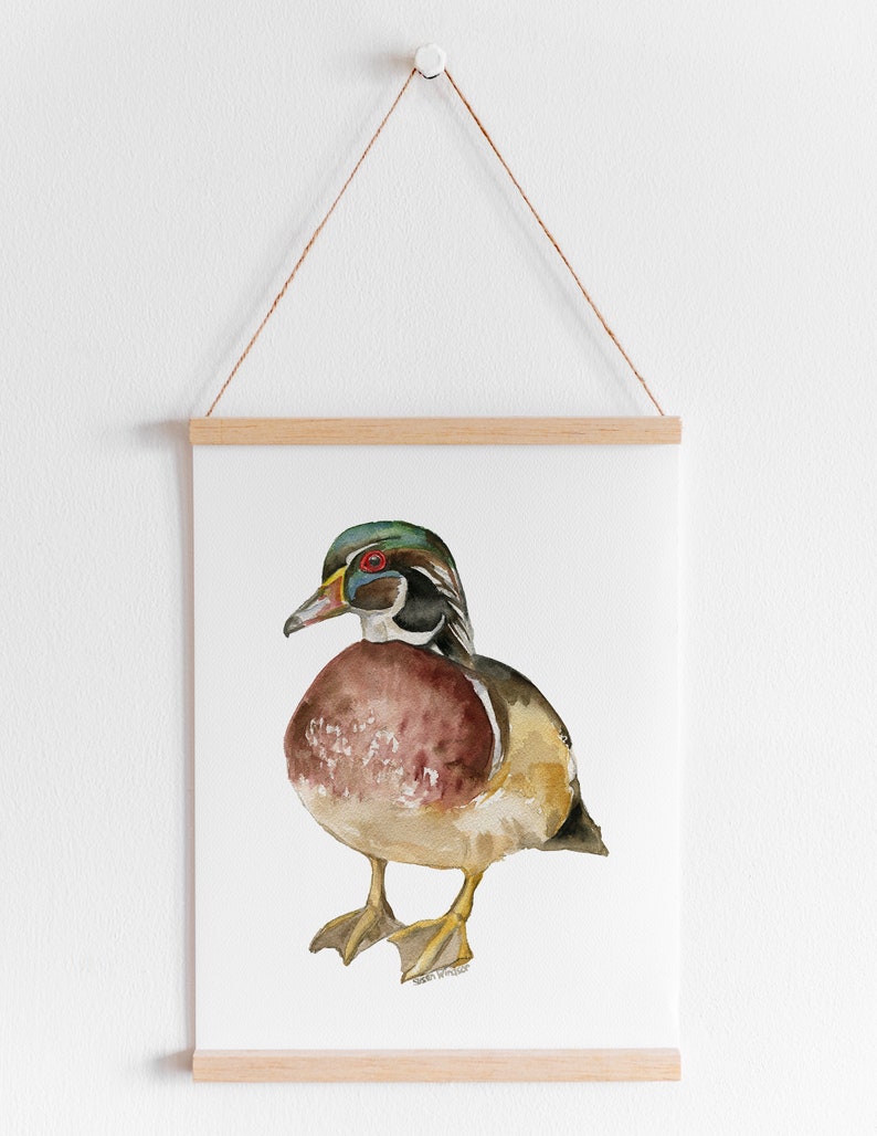 Wood Duck Watercolor Painting Giclee Print Reproduction Woodland Nursery Decor Unframed image 4