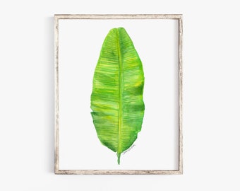 Banana Leaf Watercolor Painting 8 x 10 (8.5x11 paper) - Giclee Reproduction UNFRAMED