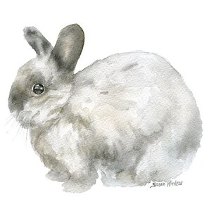 May include: Watercolor painting of a gray and white rabbit. The rabbit is sitting on a white background. The artist's signature, "Susan Windsor", is in the bottom right corner.