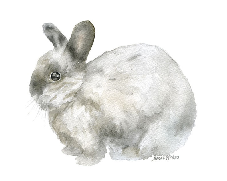 May include: Watercolor painting of a gray and white rabbit. The rabbit is sitting on a white background. The artist's signature, "Susan Windsor", is in the bottom right corner.