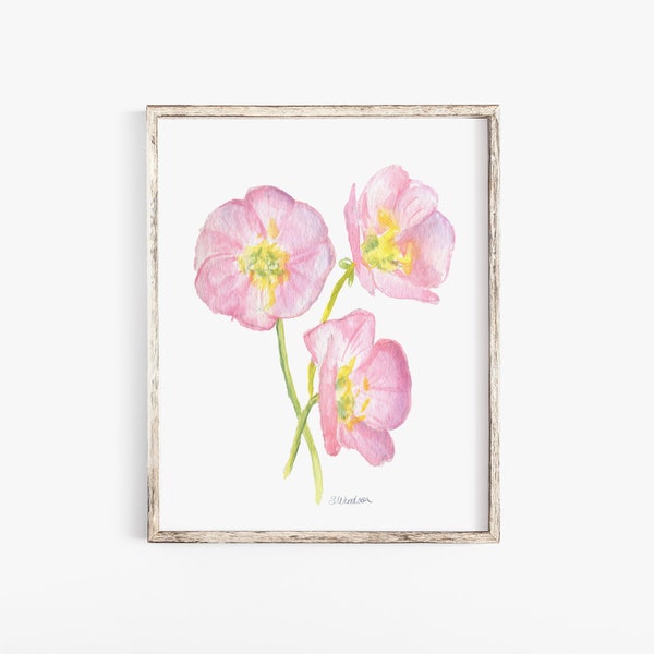 Aquarelle rose fleurs sauvages d'onagre - impression giclée sans cadre