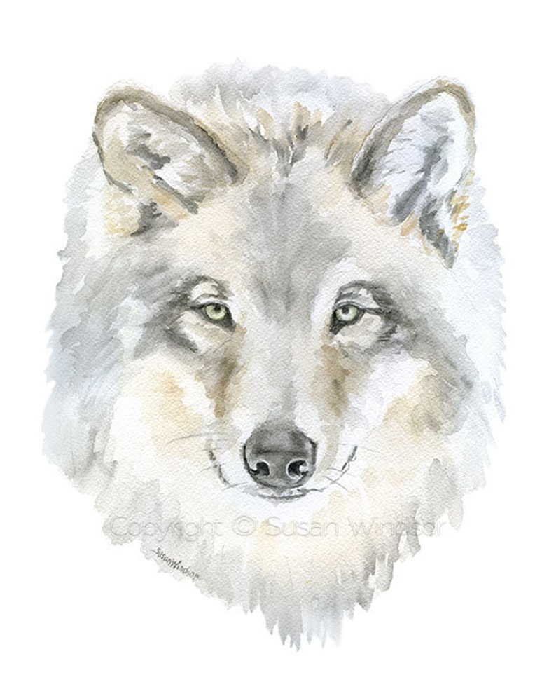 Grey Wolf Watercolor Painting Fine Art Giclee Reproduction Woodland Animal Art Print Unframed image 2
