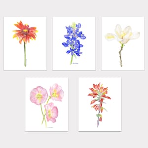 Watercolor Texas Wildflowers Art Prints Set of 5 Indian Blanket Paintbrush Bluebonnet Primrose Magnolia Unframed