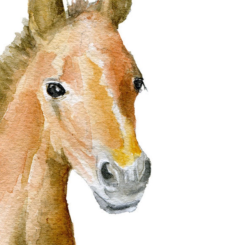 Horse Watercolor Painting Print Giclee Print Nursery Art Pony Colt Foal Art UNFRAMED image 3