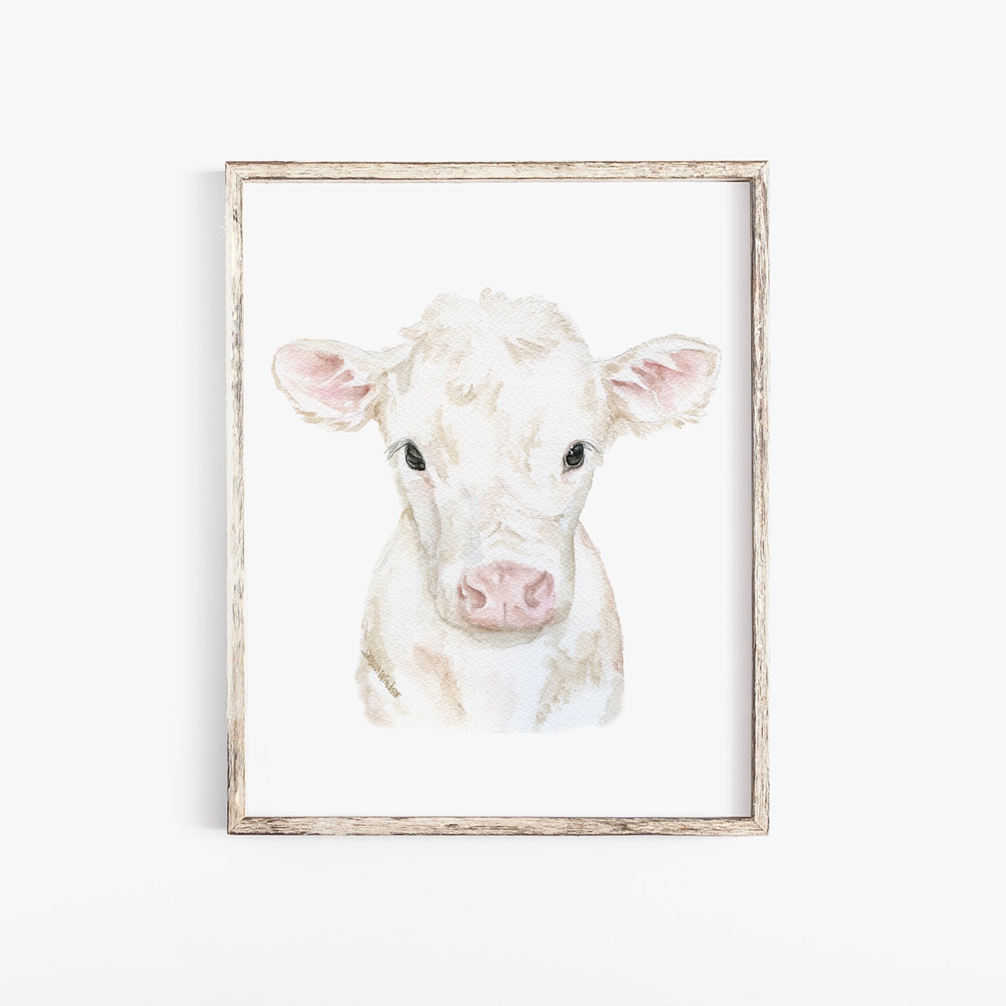 Baby Calves Watercolor Art Prints Set of 4 Cow Calf Cattle Art