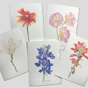 Ensemble de 5 cartes de peinture à l'aquarelle de fleurs sauvages du Texas, 5 x 7 cartes