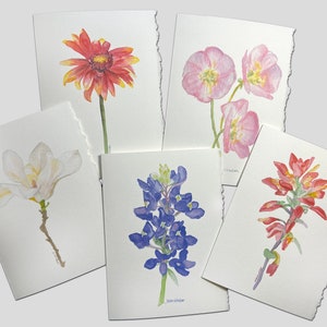 Texas Wildflower Watercolor Painting Cards Set of 5 5 x 7 Greeting Cards image 1