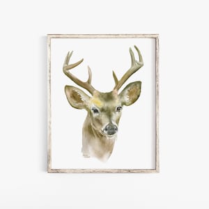 Deer Buck Watercolor Large poster art print Unframed