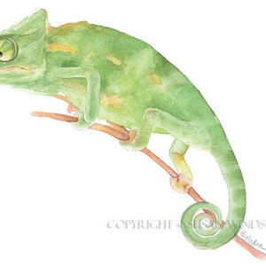 Chameleon Watercolor Painting Giclee Print Fine Art Watercolor 10 x 8 11 x 8.5 Lizard Art Reptile Painting Unframed image 2