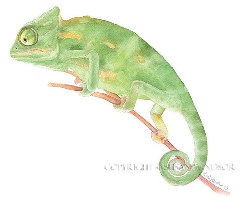 Chameleon Watercolor Painting Giclee Print Fine Art Watercolor 10 x 8 11 x 8.5 Lizard Art Reptile Painting Unframed image 2