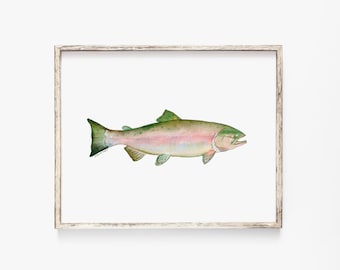 Pink Salmon Watercolor Watercolor Print - Fishing Art - Fisherman Painting Unframed