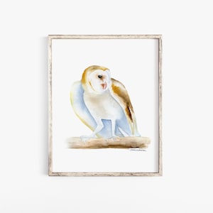 Barn Owl Watercolor Painting - Giclee Print - Woodland Animal Art Unframed