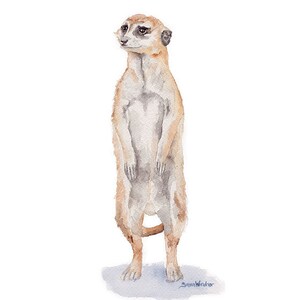 Meerkat Watercolor Painting Giclee Fine Art Print UNFRAMED image 2