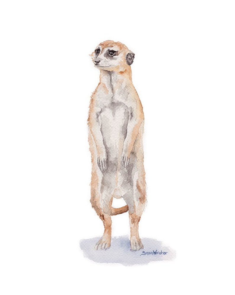 Meerkat Watercolor Painting Giclee Fine Art Print UNFRAMED image 2