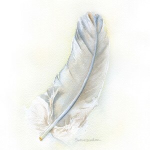 Gray Feather Watercolor Giclee Print - 5 x 7 UNFRAMED