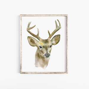 Buck Watercolor Print 24x36 Large Fine Art Poster - Deer Antlers Painting Unframed