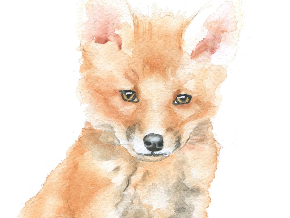 Woodland Animal Watercolor Card Set Greeting Cards 5x7 - Etsy