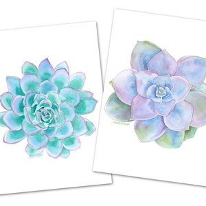 Aquarelle succulente - Lot de 4 cartes de voeux