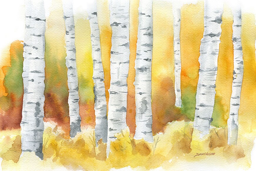 Birchwood Casey Bersagli Anatra A Colori 12x18 Pollici – Confezione Da 8 (35407)