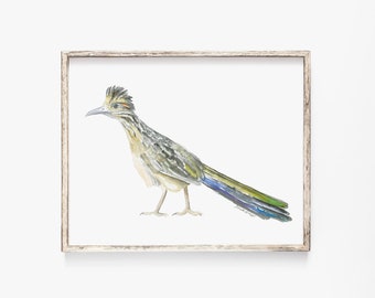 Roadrunner Watercolor Painting Fine Art Giclee Print Reproduction Texas Western Nursery Art