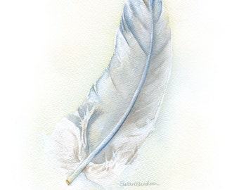 Gray Feather Watercolor Painting Fine Art Print 8 x 10 (8.5 x 11) - Bird Art UNFRAMED