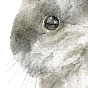 May include: Close-up of a watercolor painting of a rabbit's face. The rabbit has a large, dark eye and a soft, gray fur.