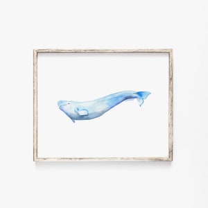 Beluga Whale Watercolor Art Print UNFRAMED