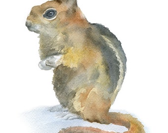 Chipmunk Watercolor Painting Giclee Print - 8 x 10 - 8.5 x 11 - Woodland Animal - Nursery Art Unframed